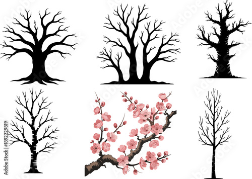 Bare Tree Silhouettes and Cherry Blossom Branch Vector Set: Diverse Spooky Dead Tree Shapes and Spring Flower Illustration for Seasonal Design and Nature Graphics