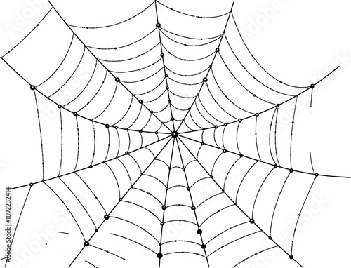 Essential vector graphic file for versatile design and scalable illustrations