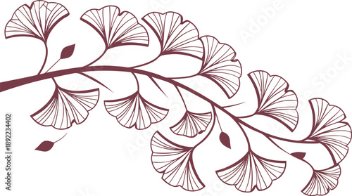 Elegant ginkgo biloba branch with leaves in rich burgundy tone