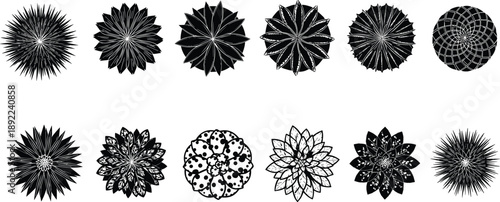 Abstract, Floral, Mandala, Rosette, Radial, Geometric, Ornamental, Botanical, Symmetry, Decorative, Patterned, Circular, Monochrome, Silhouette, Bloom,  