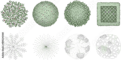 Landscape, Garden, Foliage, Bush, Shrub, Hedge, Greenery, Botanical, Nature, Plant, Plants, Topview, Overhead, Park, Yard, Lawn, Eco, Organic, Vector, Illustration