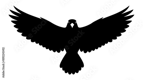 Bird flying with outstretched wings against white background