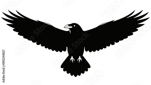Black bird silhouette flying in the air