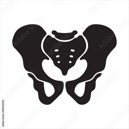 Silhouette of human pelvic bone anatomical structure vector illustration