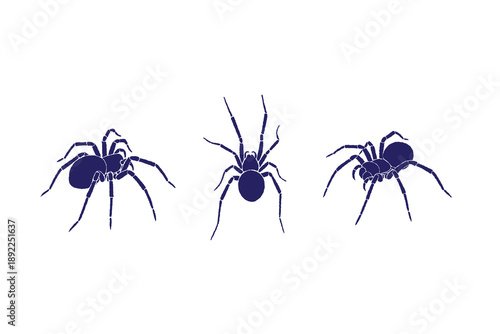 Set of black Widow spider. Various positions. Every spider is isolated. Deadly venomous spider. Hand drawn Vector illustration. silhouette, icon, design elements template