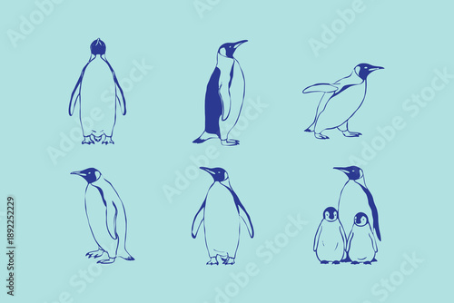 King imperial penguins in different poses set. hand drawn line style Adult birds and chick. Standing, lying down, walking penguins. vector doodle illustration. Isolated design elements