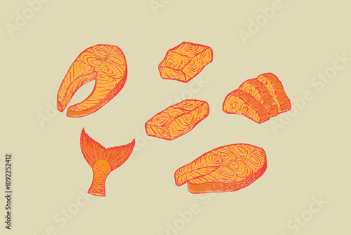 Set of sliced tasty fresh Salmon. Raw fillet on skin, red fish pieces, sashimi slices, steak, tail. Hand drawn crayon doodle trendy Vector illustration. Unique style. Healthy food concept