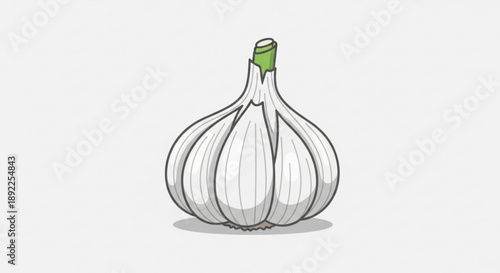 Garlic Bulb Isolated on White Background Illustration