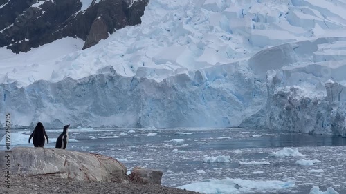 Glacier Calving into Antarctic Ocean with Penguins