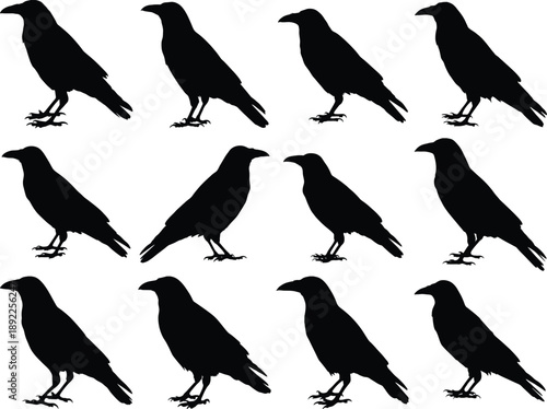 Black Crow & Raven Silhouette Set – Gothic Bird Clipart for T-Shirt, Logo, Poster & Tattoo Design
