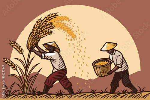 Rice Threshing Traditional Harvest