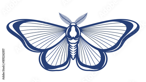 Blue line drawing of a moth with spread wings and feathery antennae is illustrated in a clean and symmetrical style for nature art.