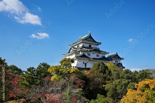 Valokuva Wakayama City, Wakayama Prefecture, Japan, Wakayama Castle
