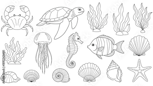 Marine life line art collection featuring a sea turtle and crab among various shells and seaweed for ocean-themed coloring projects.