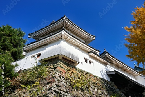 Bild auf Leinwand Wakayama City, Wakayama Prefecture, Japan, Wakayama Castle