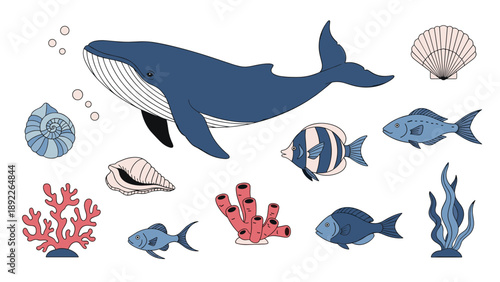 Vibrant undersea scene illustration featuring a majestic blue whale swimming among colorful tropical fish, coral reefs, and sea shells.