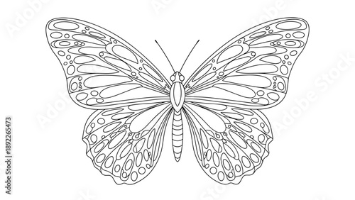 Intricate black and white line art drawing of a beautiful butterfly with decorative patterns on its large, spread wings.