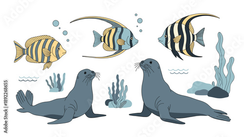 Underwater scene illustration showcases two grey seals alongside vibrant tropical fish and blue coral reefs on a white background.