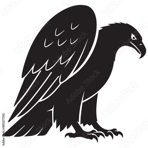 Eagle with large wings and detailed feathers, black and white