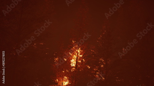 Quadro em tela Bright flames rise through trees in a dense forest, highlighting the urgency of fires impact on nature