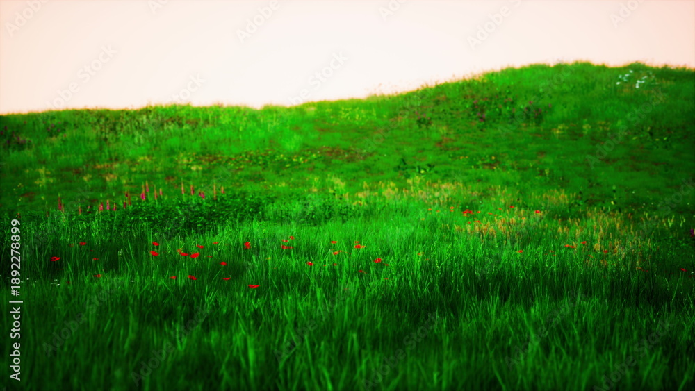 Obraz premium Vibrant green grasses sway gently in a meadow filled with colorful wildflowers. The pastel sky provides a serene backdrop as the sun begins to set, creating a calming atmosphere.