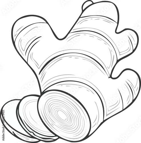 Outline ginger root icon, clean vector illustration