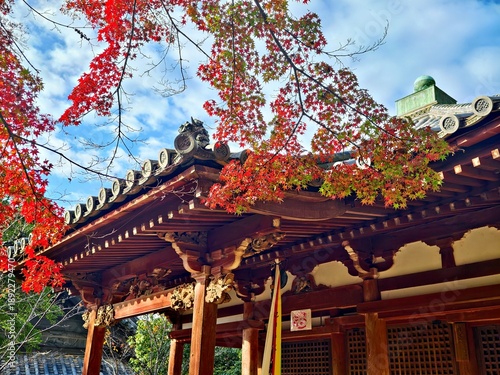 фотографія Kisui-ji Temple, Wakayama City, Wakayama Prefecture, Japan