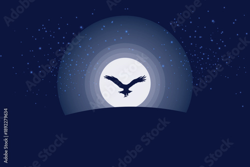 Night Flight Eagle Silhouette Against the Moon