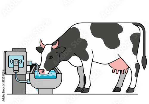 A Holstein cow drinks from a smart water trough with a sensor. Modern farm technology. Clean, graphic illustration.