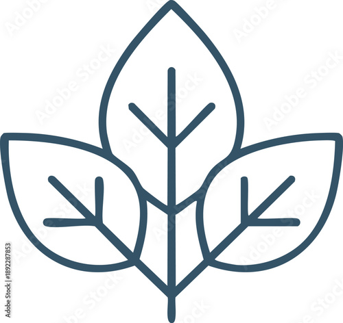 Outline spinach leaf icon, eco food icon style