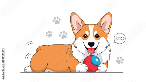 Energetic welsh corgi dog lying down with a red ball and thinking about a bone while wagging its tail in a playful and happy mood.