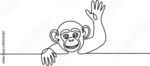 Continuous line drawing of a chimpanzee waving hand behind the wall, symbolizing playful wildlife. Created as an art concept for International Animal Day. one line Icon drawing