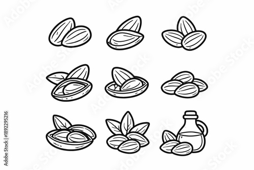 Black and white nut illustrations with oil bottle