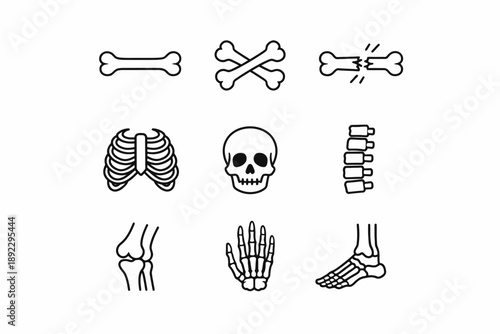 Icon set depicting various human bones in simplified line art style