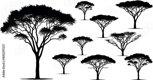 African acacia tree silhouette collection showcasing savanna nature landscapes, iconic flat crown trees, wildlife habitat elements, minimal black and white vector illustration set