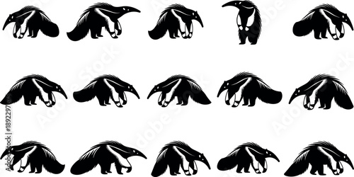 Anteater silhouettes collection featuring giant anteaters in walking, standing, feeding poses, South American wildlife mammal animal icons set isolated on white background