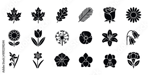A comprehensive collection of botanical leaves and flowers silhouettes, perfect for nature themed graphic resources, web icons, print materials, and decorative ecology projects