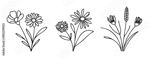 Minimalist hand drawn botanical line flower sketches perfect for spring themed decor, branding, nature inspired visual assets, or modern graphic applications