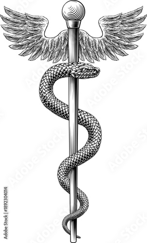 Rod of Asclepius staff medi...