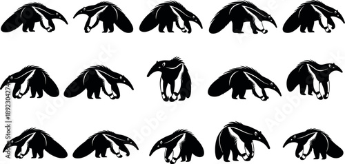 Anteater Animal Silhouette Collection Showing Multiple Walking and Standing Poses Wild Mammal Illustration Set Isolated on White Background for Nature Design