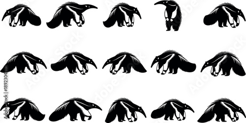Anteater silhouettes collection featuring giant anteaters in walking, standing, feeding poses, South American wildlife mammal animal icons set isolated on white background