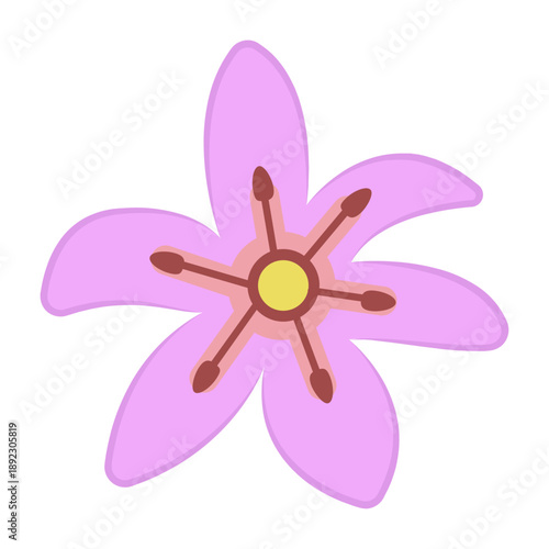 Vector graphic icon for Lily