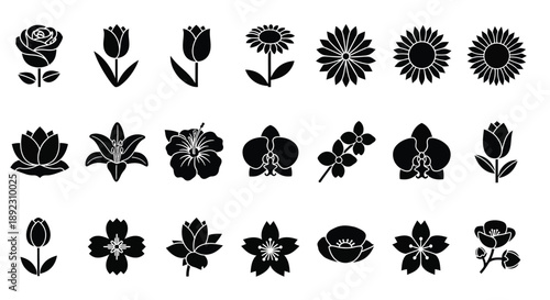 Collection of black flower silhouettes on white background