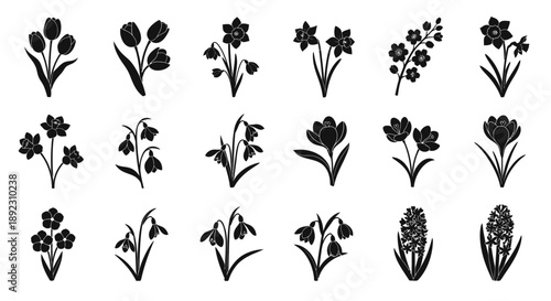 Collection of various black flower silhouettes on white background