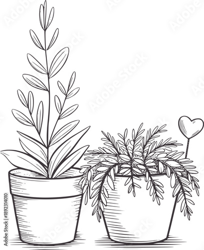 Two potted plants one tall and slender the other bushy with a heart a stick outline