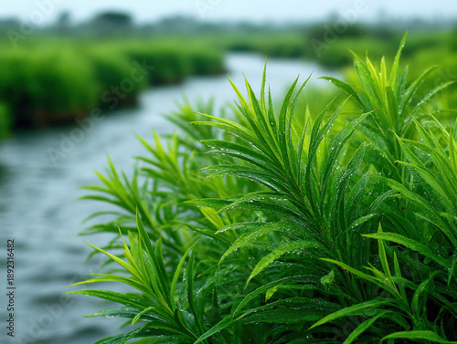 A close-up of green smartwe...