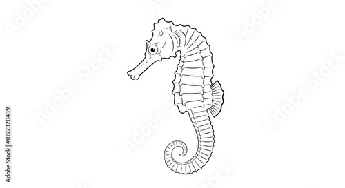 Detailed black and white line art illustration of a graceful seahorse perfect for educational or decorative use.