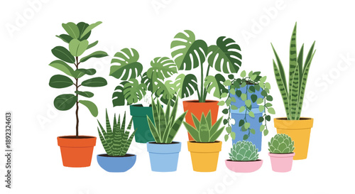 A vibrant collection of assorted colorful potted houseplants featuring fiddle leaf fig monstera snake plant and various succulents displayed together for decoration
