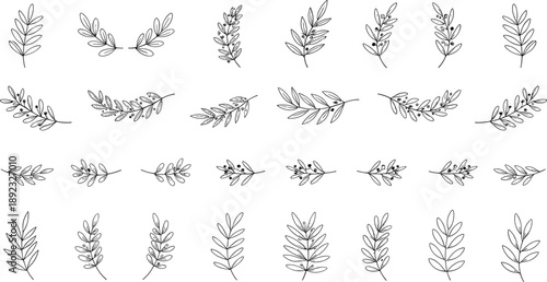 Hand drawn botanical leaves and branches collection with decorative foliage elements isolated on white