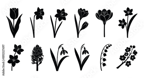Collection of various black silhouette flowers on white background